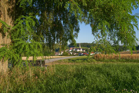 Gemeinde Reut Landkreis Rottal-Inn Taubenbach Aussicht Bank Akazie (Dirschl Johann) Deutschland PAN